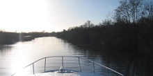 River Trips on the Norfolk Broads