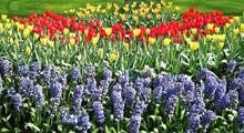 Gardens on the Norfolk Broads