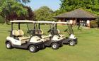 Buggies for hire