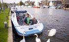 Feeding the Swans