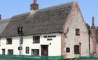 The Ingham Swan - Ingham