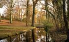 Autumn Colours
