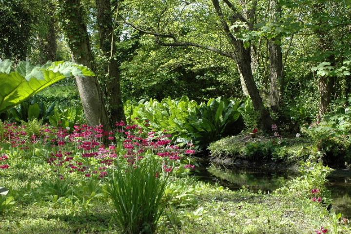 Fairhaven Garden Green Festival