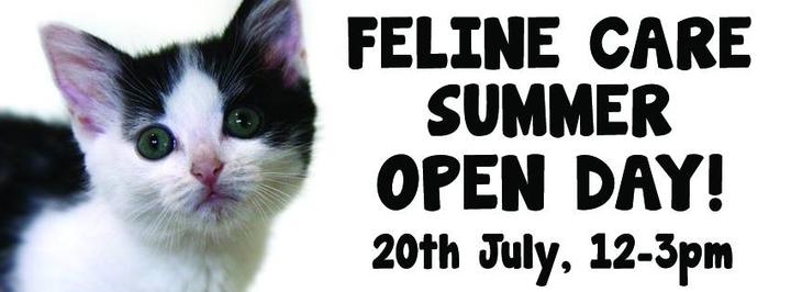 Feline Care Summer Open Day