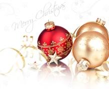 Festive Lunches & Christmas Dinners