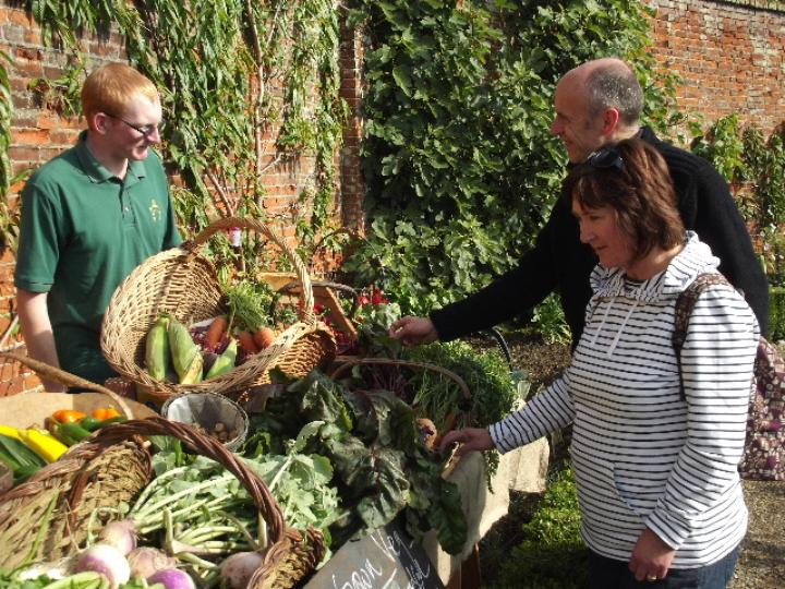 End of Season Vegetable Day