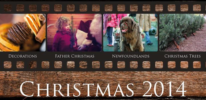 Festive Fair