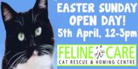 Easter Sunday Open Day