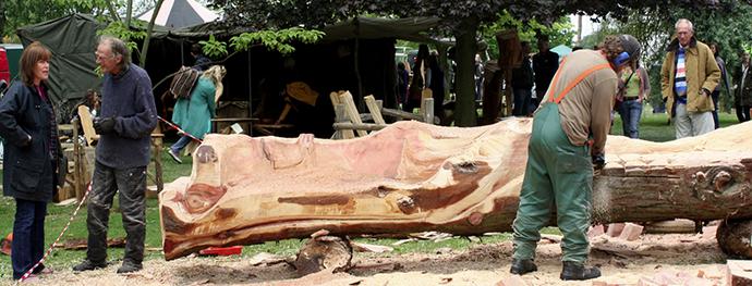 Weird and Wonderful Wood