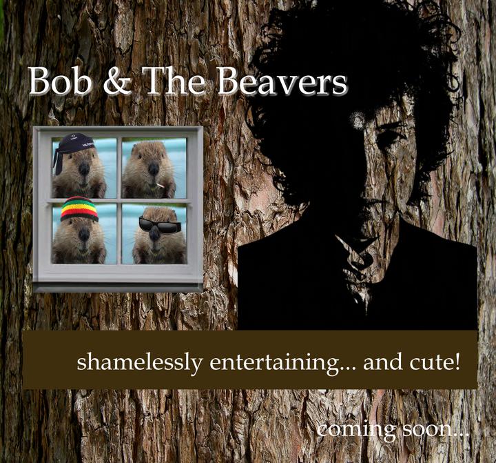 Bob and The Beavers - The Lion Inn, Thurne - 8.30pm