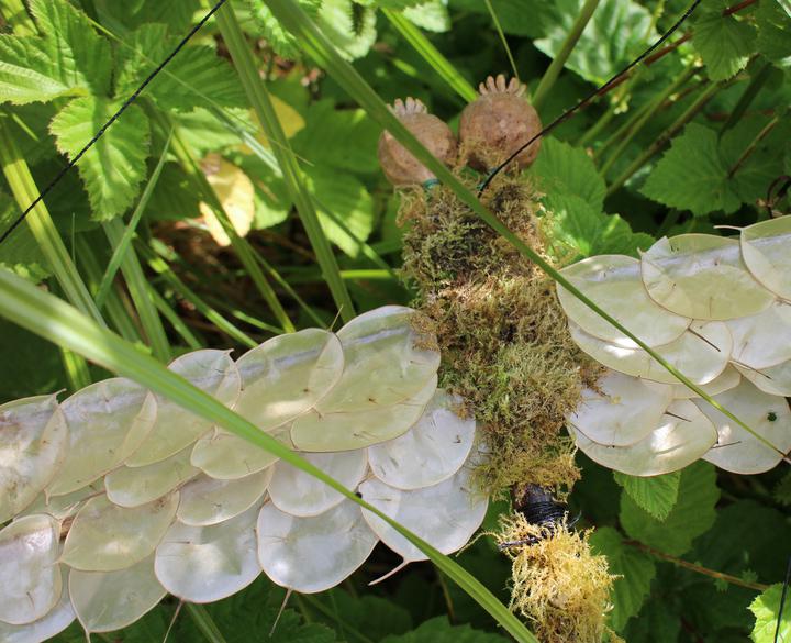 River Waveney Sculpture Trail
