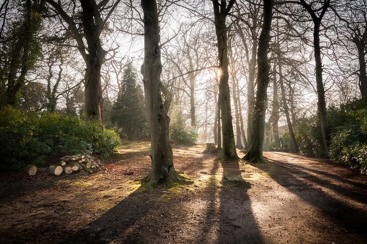 Fairhaven Garden - Stephen Mole Photography Exhibition