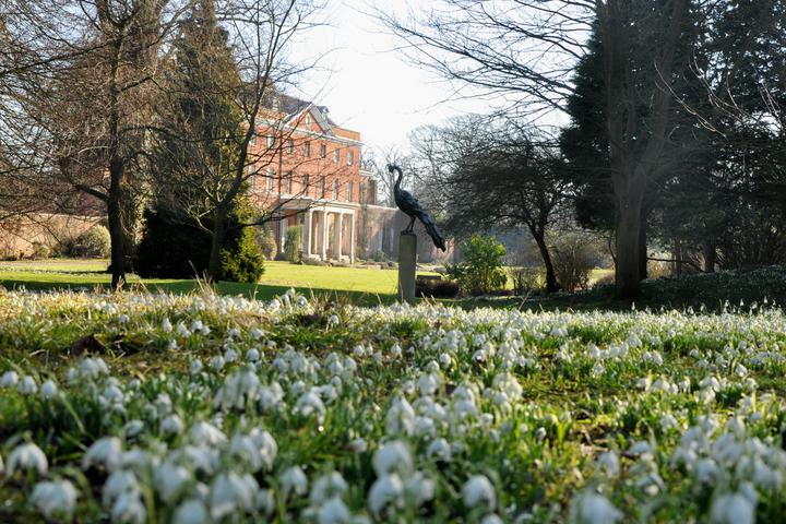 Raveningham Gardens Snowdrop Season