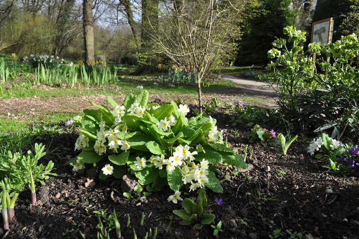 Mothering Sunday Guided Walk