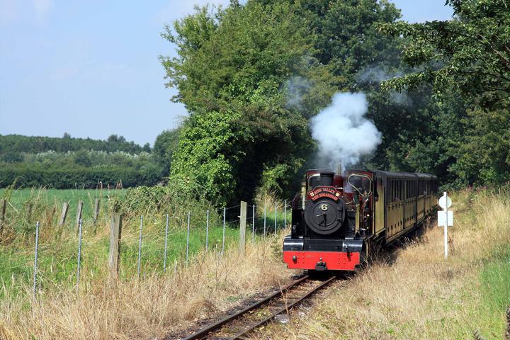 Fathers Day Steam Trains