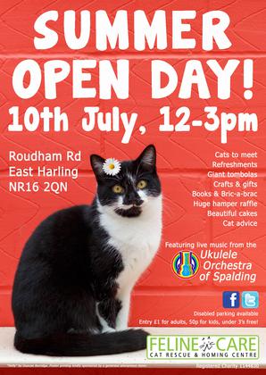 Feline Care Summer Open Day
