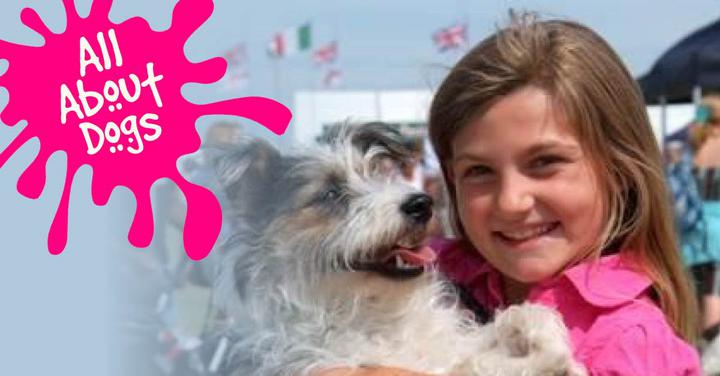 All About Dogs Norfolk