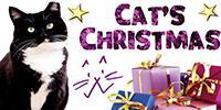 Cat's Christmas at Feline Care