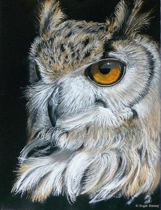Fairhaven Garden - Anne Feavers and Roger Burnay Exhibition