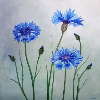 Elizabeth Reed - New Year Exhibition