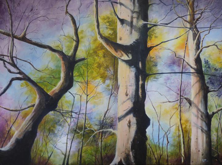 Sandra Derry Art Exhibition