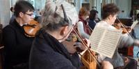 The Mozart Orchestra Concert
