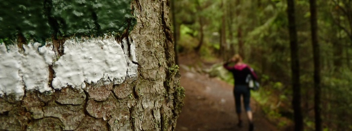 Hiking & Walking in North Norfolk