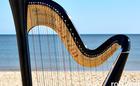 One of Rebecca's Harps