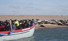 Seal Trips with Bishop's Boats