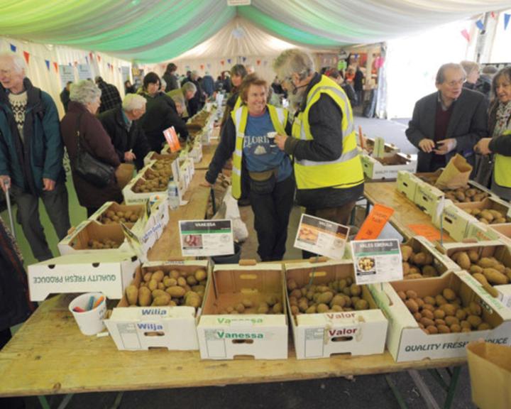 East Anglian Potato Day