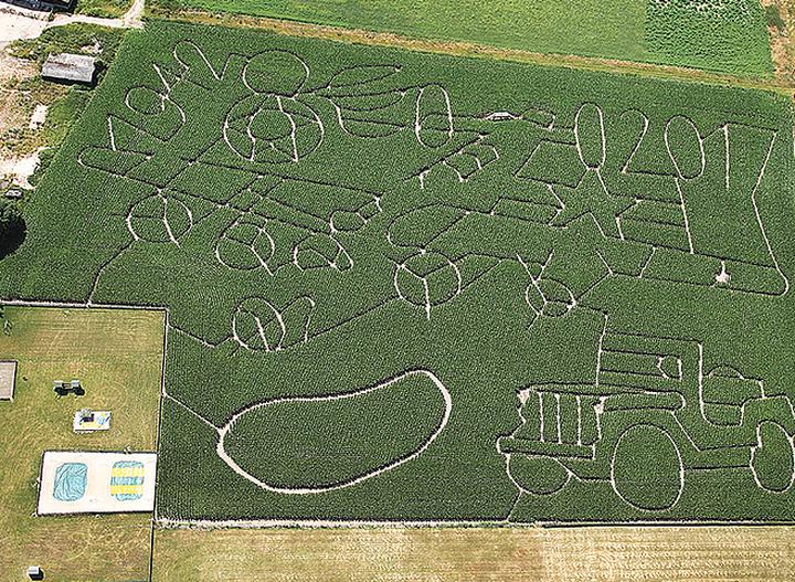 Southwold Maize Maze