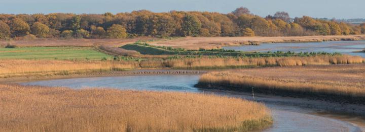 Rive Trips from Snape Maltings