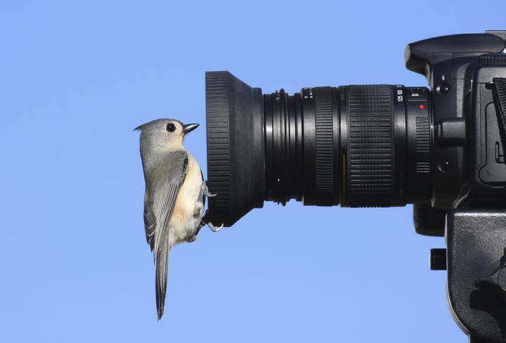 Open Days at RSPB Minsmere - Tripod and Binocular Advice