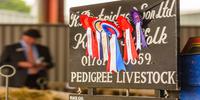 The Suffolk Show 2019