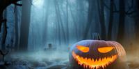 Halloween Half Term Fun at Easton Farm Park